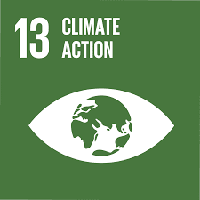 Climate Action badge